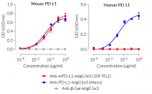 Binding specificity to recombinant mouse or human PD-L1
