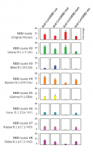 Luciferase based ELISA