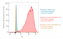 Validation of Anti-hACE2-mIgG2b by FACS