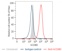 Endogenous CD80 expression