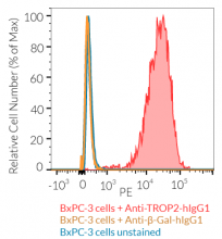 TROP2 cell surface staining