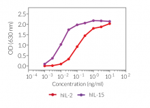 HEK-Blue™ CD122/CD132 response to IL-2 and IL-15