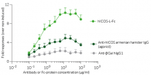 Activation of Jurkat-Lucia™-hICOS cells