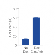 Conditional GSDMD-mediated cell death 