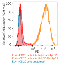 Validation of Anti-β-Gal-hIgG1* by FACS