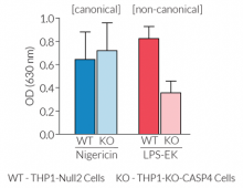 Secretion of mature IL-1β by THP1-KO-CASP4 cells