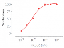 FK506 dose-dependent inhibition of calcineurin signaling