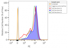Overexpression confirmation