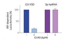 Specific inhibition of cGAS by G140