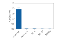 Cellular response to GM-CSF