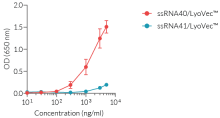 NF-κB response of HEK-Blue™ hTLR8 cells to ssRNA41/LyoVec™