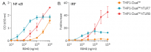 NF-κB and IRF responses of THP1-Dual™-derived cells to R848