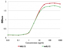 Response of HEK-Blue™ IL-12 cells to human and murine IL-12