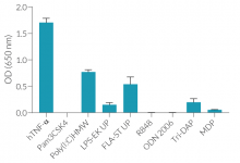 Response of HEK-Blue™ hMD2-CD14 cells to various PRR agonists and cytokines