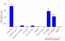 NF-κB responses of HEK-Blue™ hNOD1 cells to various PRR agonists and cytokines