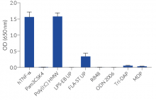 Response of HEK-Blue™hTLR3 cells to various PRR agonists and cytokines