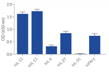HEK-Blue™ IL-11 specificity