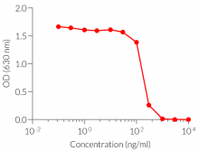 Inhibition of hIL-24 signaling in HEK-Blue™ IL-19/IL-20 cells