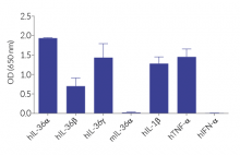 HEK-Blue™ IL-36 specificity