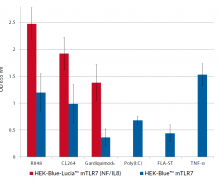 NF-κB - SEAP response