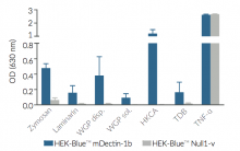 Evaluation of NF-κB responses in HEK-Blue™ mDectin-1b cells