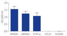 HEK-Blue™ RANKL specificity