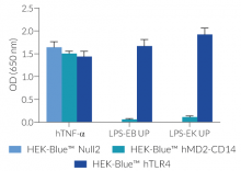 Response of HEK-Blue™-derived cells to TLR4 agonists