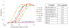 Response of HEK-Blue™ IFN-λ cells to IFNs