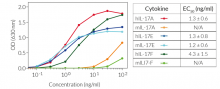 Evaluation of cellular response to IL-17 cytokines in HEK-Blue™ IL-17 Cells