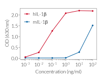 Response of HEK-Blue™ IL-1β cells to recombinant IL-1β