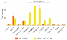 IRF responses in hTLR4-expressing HEK-Dual™ -derived cells
