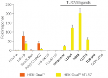 IRF responses in hTLR7-expressing HEK-Dual™-derived cells