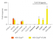 IRF responses in hTLR8-expressing HEK-Dual™-derived cells