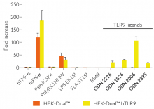 IRF responses in hTLR9-expressing HEK-Dual™-derived cells