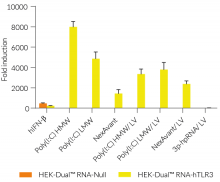 Functional validation of HEK-Dual™ RNA-derived cells (IRF responses)