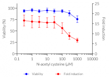 Dose-dependent decrease of oxidative stress response upon antioxidant treatment