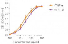 Cellular response to TNF-α