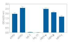 Cell line specificity of HEK-Blue™ TPO cells