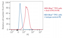 Validation of TPO-R surface expression on HEK-Blue™ TPO cells by FACS