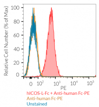 Cell surface staining using hICOS-L-Fc