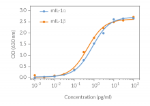 Response of HEK-Blue™ IL-1R cells to recombinant murine IL-1α and IL-1β