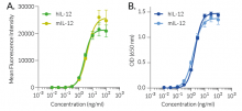 Cellular response to IL-12 using GFP and SEAP readouts