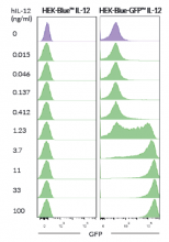 Flow cytometry monitoring of IL-12-induced GFP expression