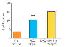 Evaluation of AhR-induced responses in HT29-Lucia™ AhR cells.