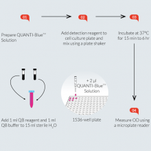 QUANTI-Blue™ High Throughput Screening (HTS) procedure