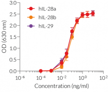 Dose-response of HEK-Blue™ IFN-λ cells to human recombinant type III IFNs
