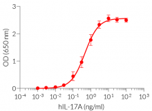 Cellular response to human IL-17A
