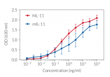 Cellular response to IL-11