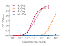 Cellular response to IL-36