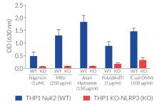 Absence of mature IL-1β secretion in THP1-KO-NLRP3 cells 